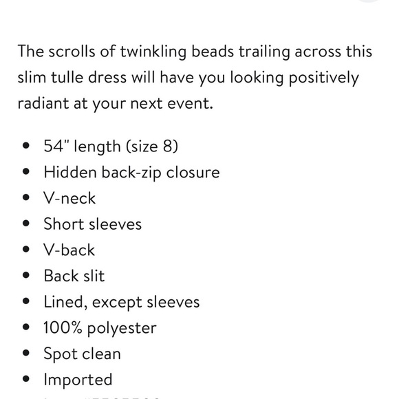 Pisarro Nights Silver Illusion Dress - Picture 6 of 6